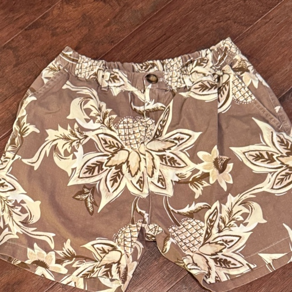 Chubbies Pina Quadlata Khaki Shorts